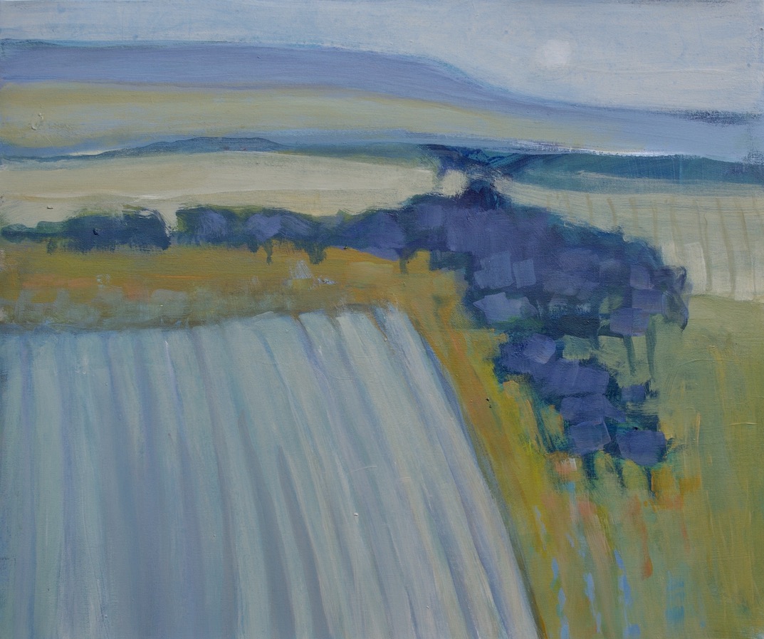 Coastal Fields (acrylic on canvas) – a painting by Anne de Geus - www.anne.degeus.com